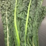 Mushroom Pasta with Cavolo Nero