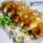 A plated dish of a breadcrumbed chicken breast fillet serve on a bed of rice with Katsu Sauce over the chicken