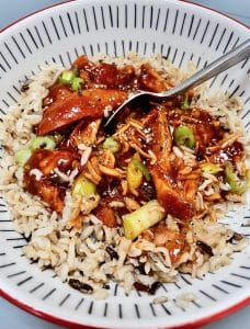 Honey Garlic Chicken served with rice