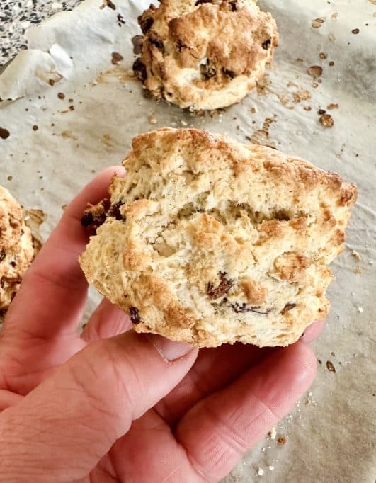 Fruit scones - close up