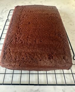 Baked chocolate sponge on cooling rack